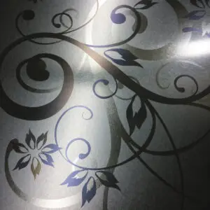 Elevatro Door